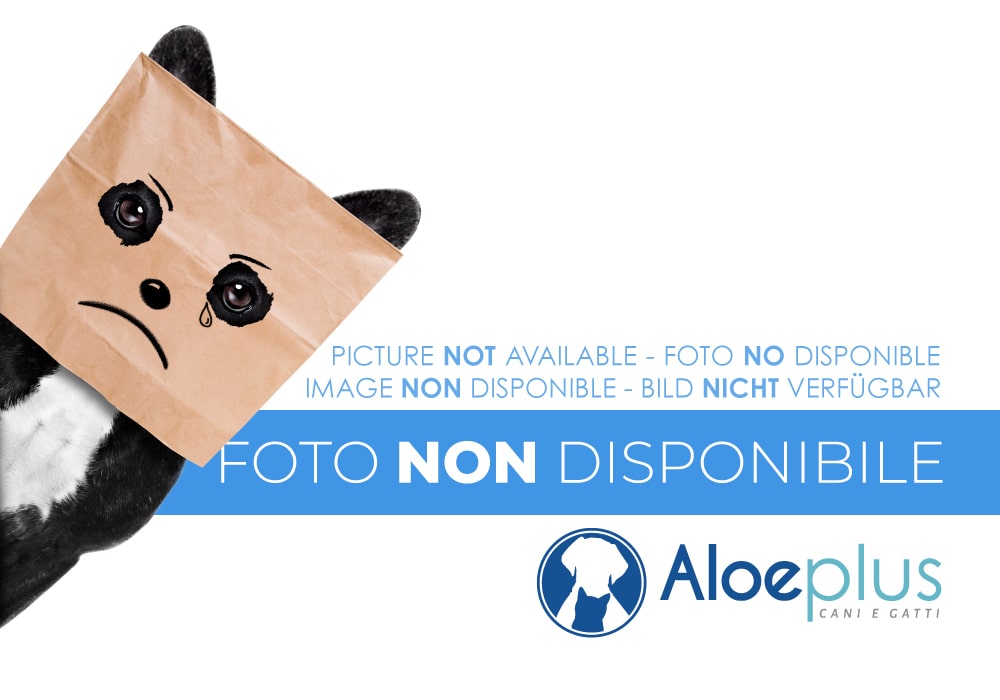 Photo non disponible